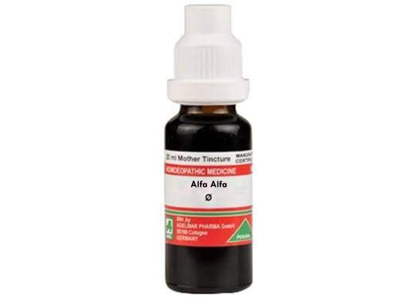 Alfalfa